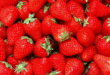 Вижте видео с ягоди под микроскоп: Не знам кога ще ги ям отново